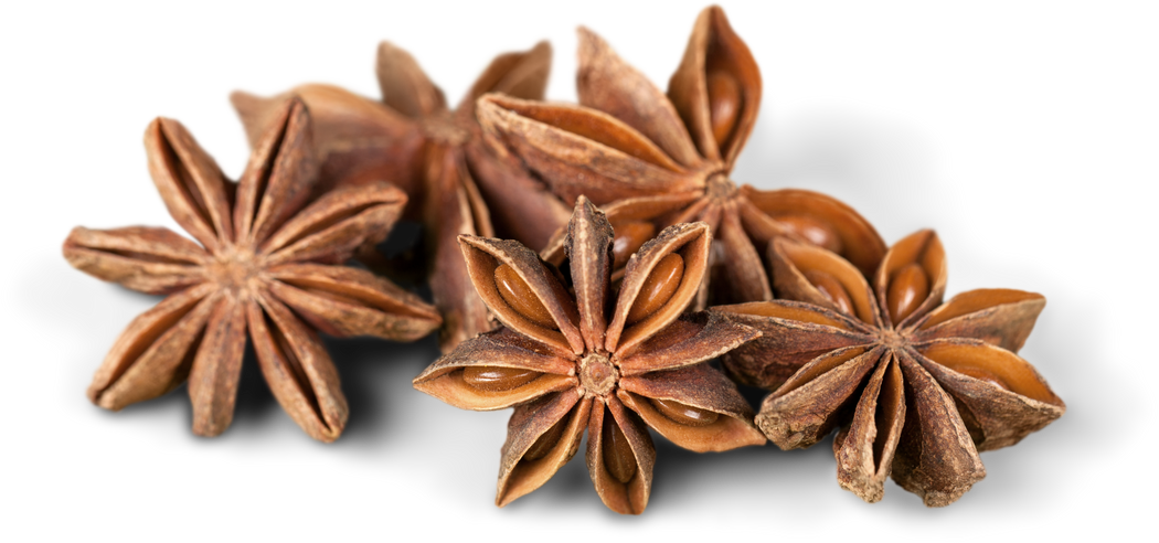 Star Anise - Isolated Image